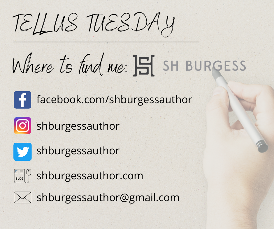 Where to find SH Burgess via social media links